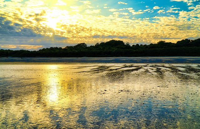 Reflexionen, Strand, Meer, Natur, Ozean