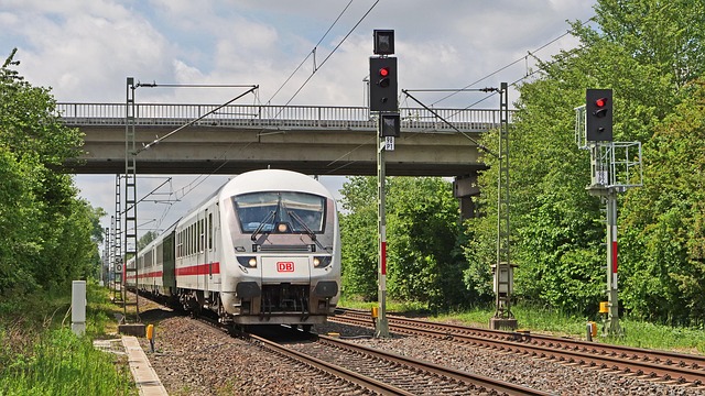 Die Interkommunale Gemeinschaft der Region Leiria bittet um Intervention auf der IC8