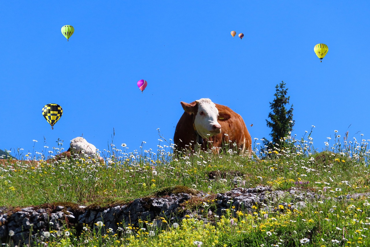 Nature - free online jigsaw puzzle photo