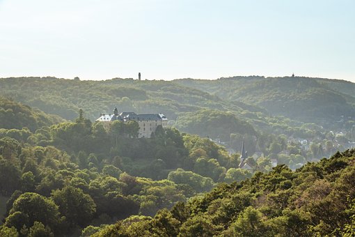Free Castle Forest photo and picture