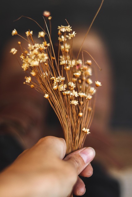 Free Flower Hand photo and picture