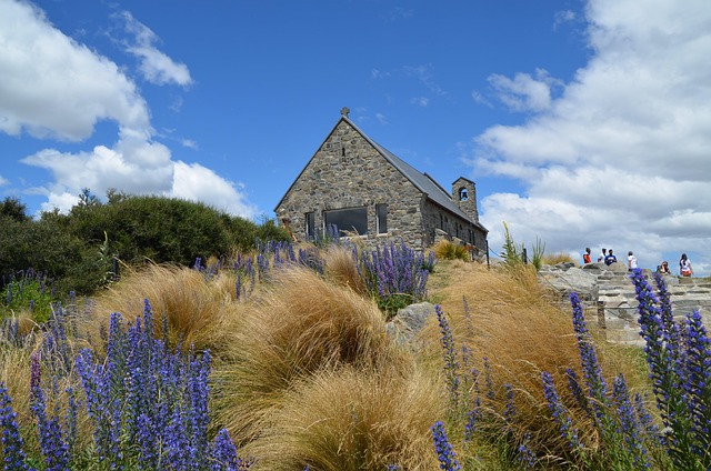 Free Lake Tekapo South Island photo and picture
