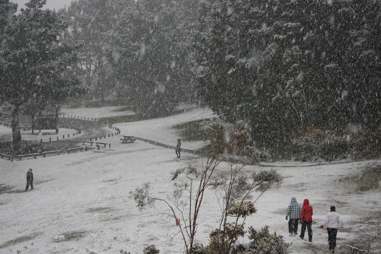 Snow Lower Hutt - Free photo on Pixabay - Pixabay