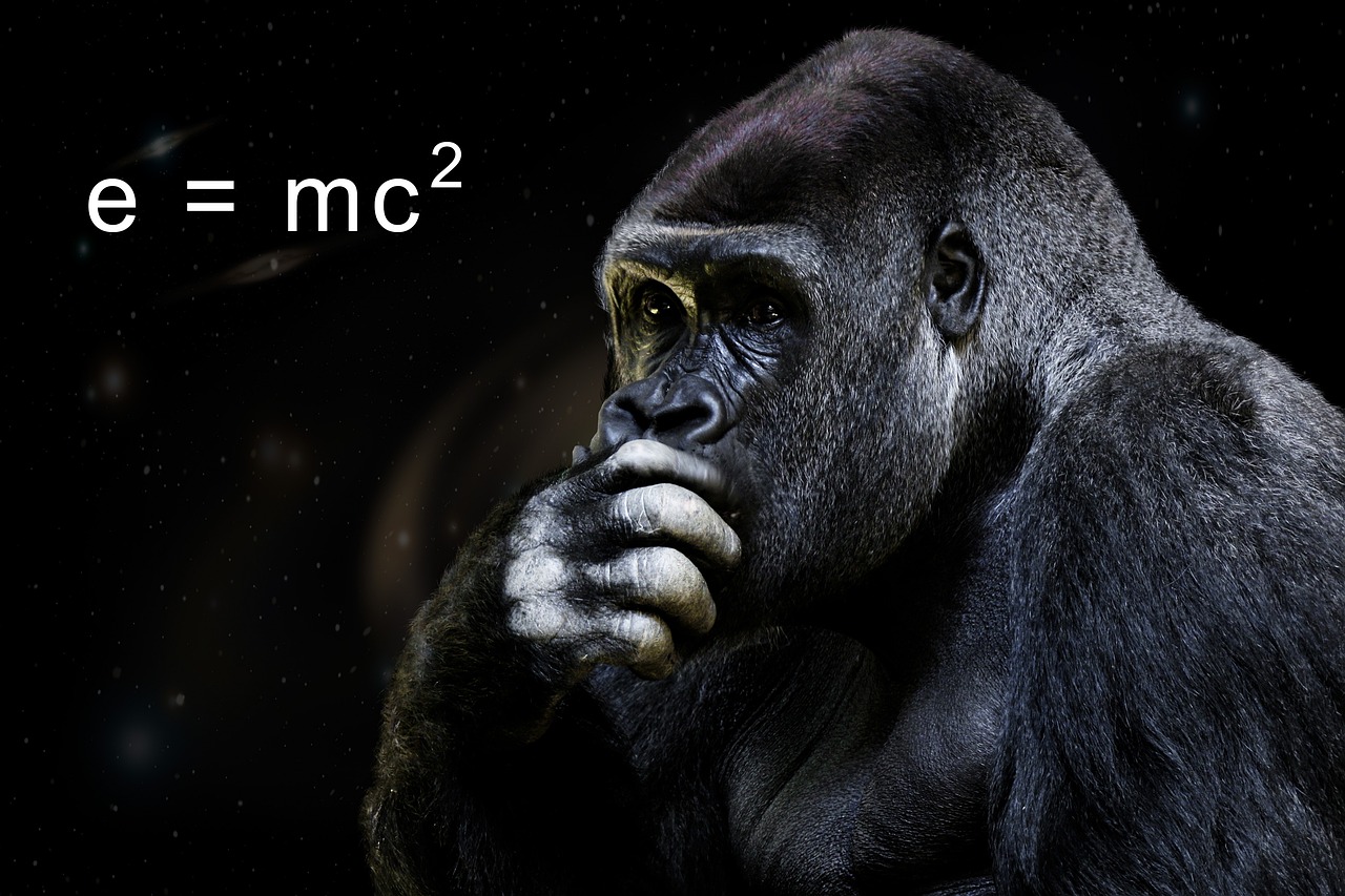 Science Einstein Physics - Free photo on Pixabay - Pixabay