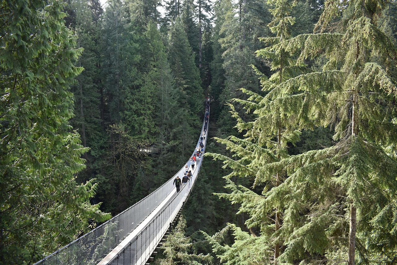 Vancouver - free online jigsaw puzzle photo