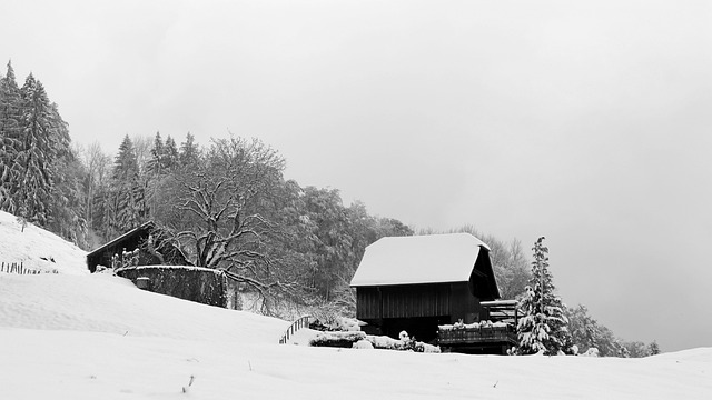 Zima, Krajina, Sníh, Příroda, Venku