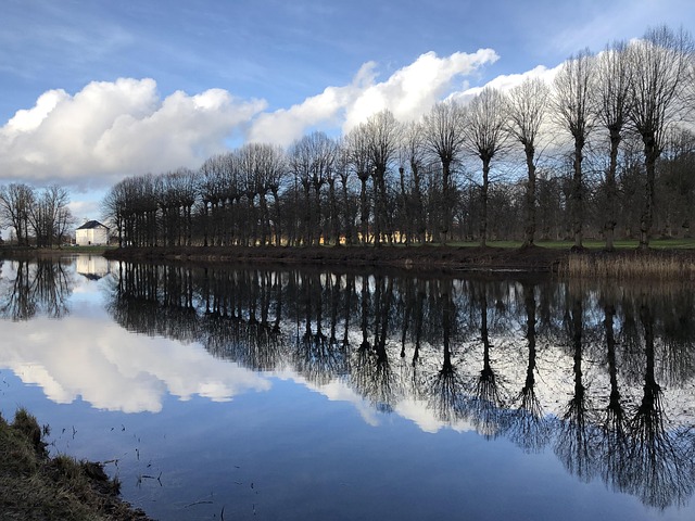 Vand, Refleksioner, Træer, Sø, Natur