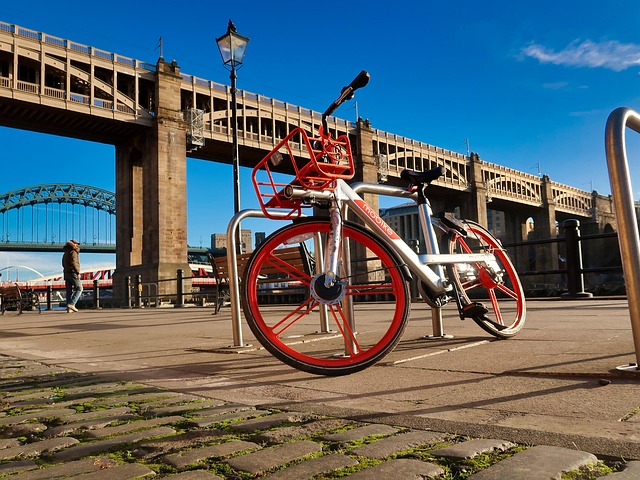 Puente, Ciclo, Ciclismo, Bicicleta, Río
