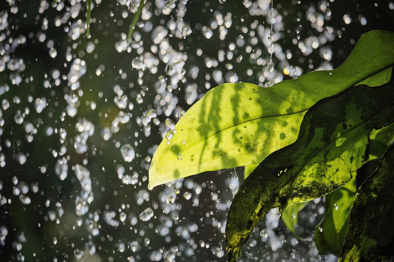 Shower - free online jigsaw puzzle photo