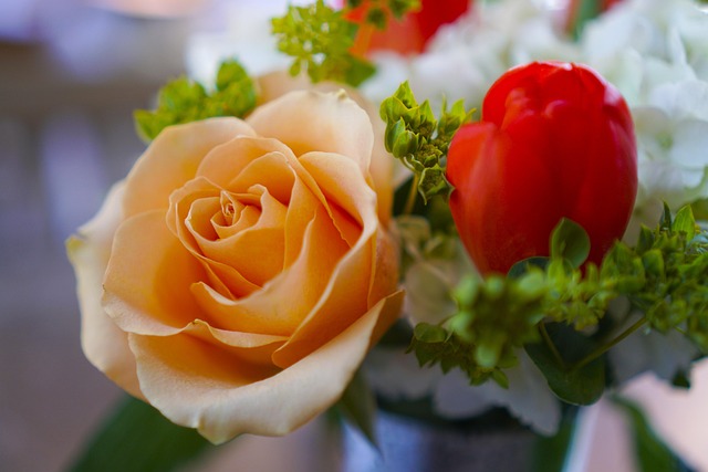 Rose, Blomst, Blomst Baggrund, Blomster