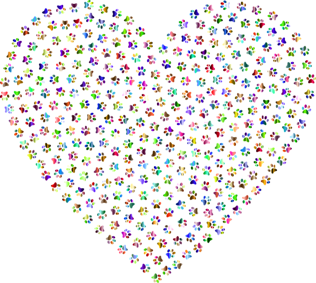 Free paws heart love vector