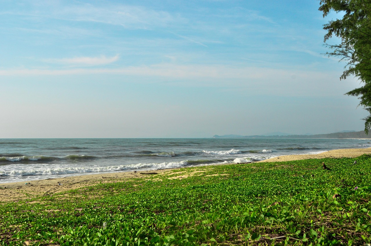 Beach Ocean Green - Free photo on Pixabay - Pixabay