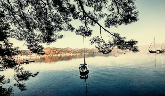 Free Sea Boat photo and picture