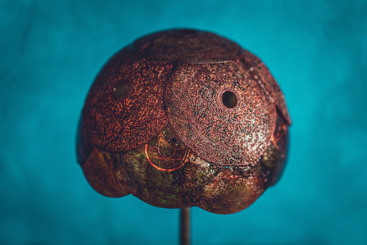 Lamp - free online jigsaw puzzle photo