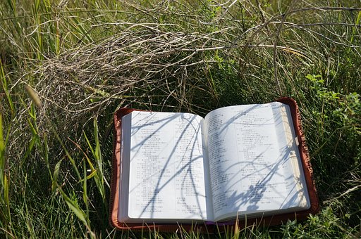 Bibel, Kristen, Religion, Bede, Bestil