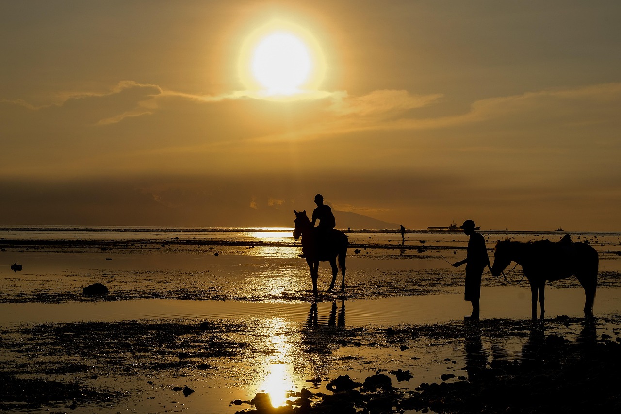 Horse Sunset Silhouette - Free photo on Pixabay
