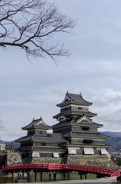 Free Castle Matsumoto photo and picture