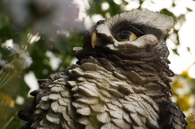 Free Owl Statue photo and picture