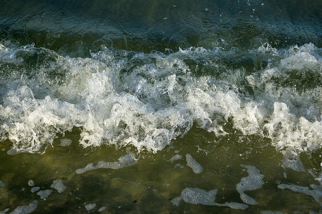 Free Ocean Waves photo and picture