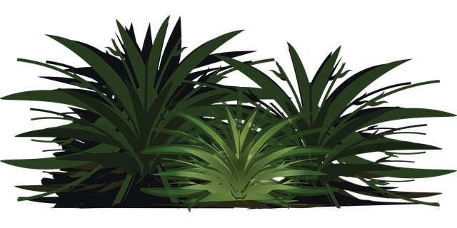 Free palm tree wood paper vector