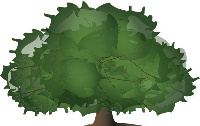 Baum, Holz, Papier, Blätter, Pflanze