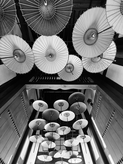 Free Umbrella Jeonju photo and picture