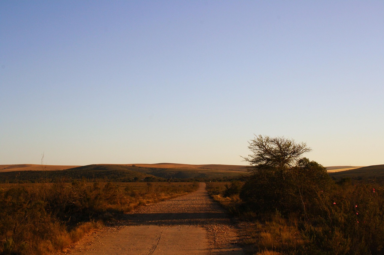 Africa - free online jigsaw puzzle photo