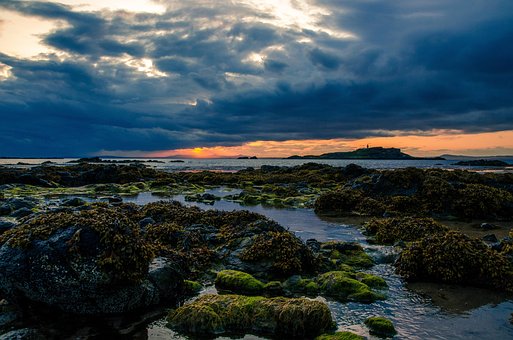 Free Beach Sunset photo and picture