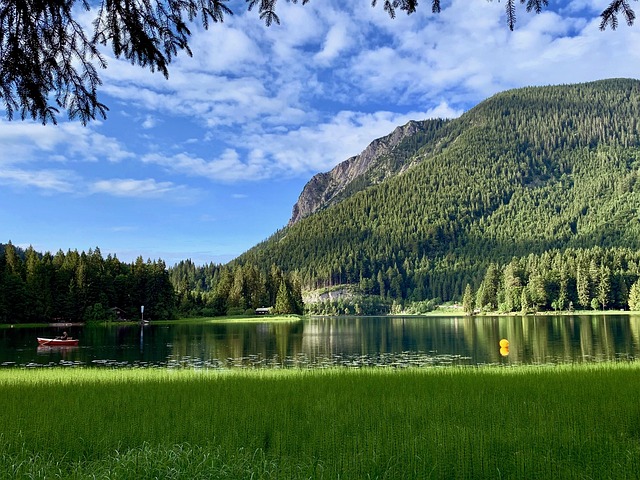 Free Lake Pointed photo and picture