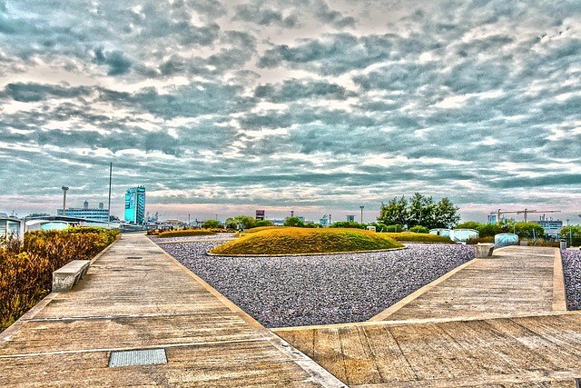 Free Park Sky photo and picture