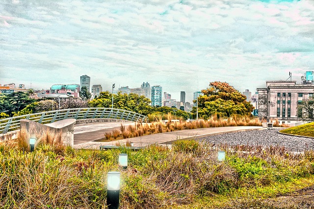 Free Park Sky photo and picture