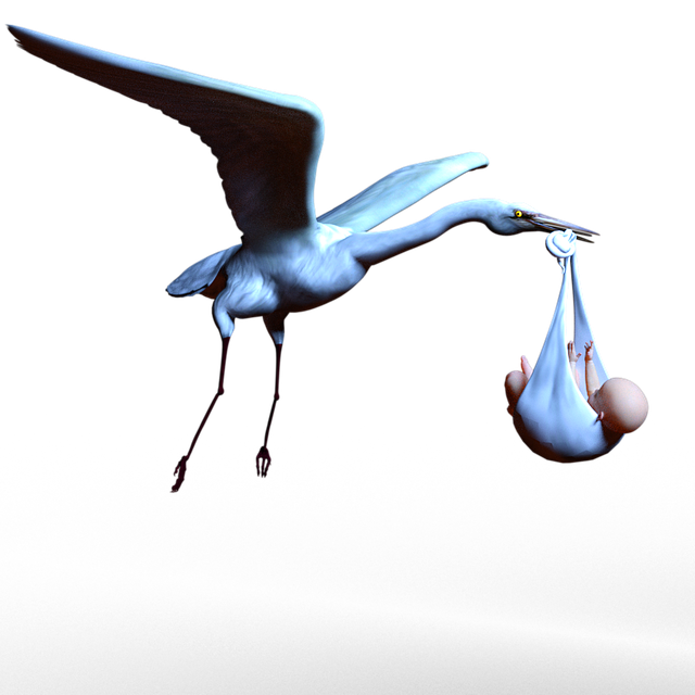 Download free HD stock image of Stork Infant Free stork infant pregnancy illustration