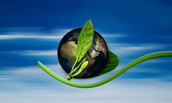 Terra, Globo, Nascita, Nuovo, Sorgere