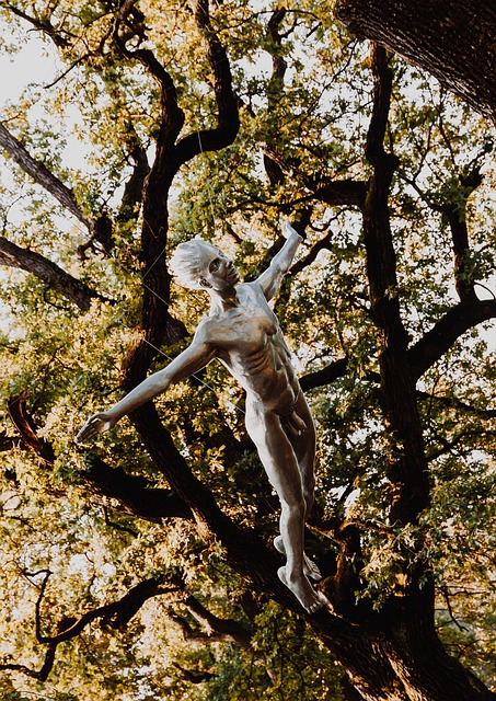 Free Nature Art photo and picture