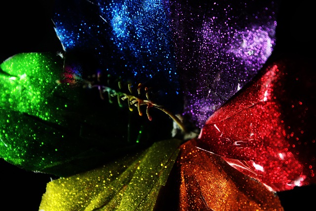 Flor, Colorido, Cor, Colori, Florescendo