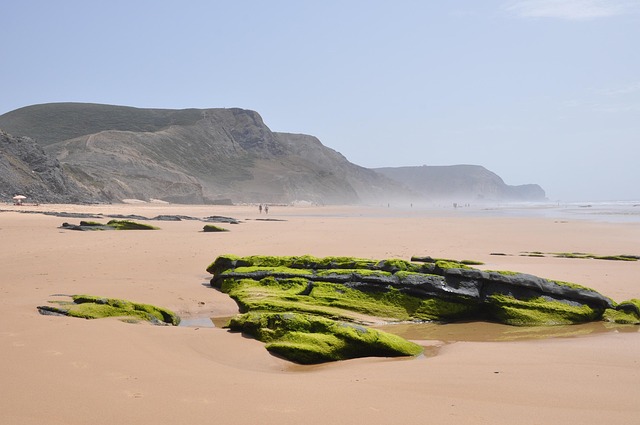 Free Portugal Coast photo and picture