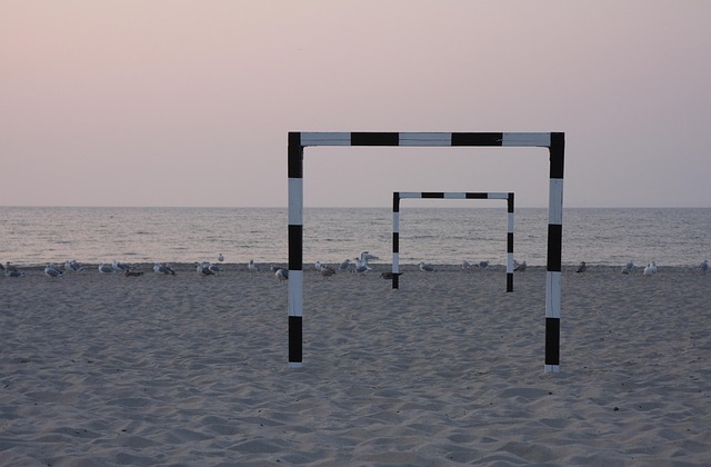 Østersøen, Strand, Kyst, Porte, Måger