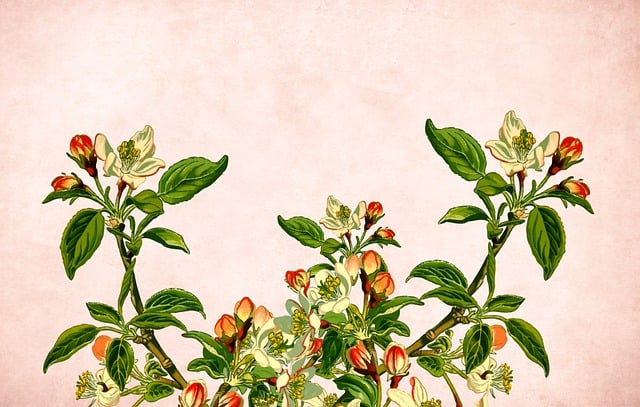 Free flower background vintage illustration