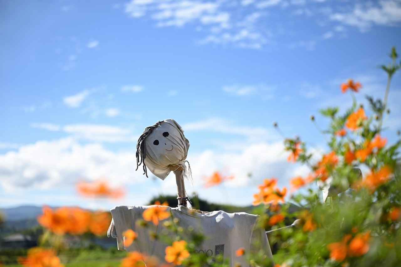 Scarecrow - free online jigsaw puzzle photo