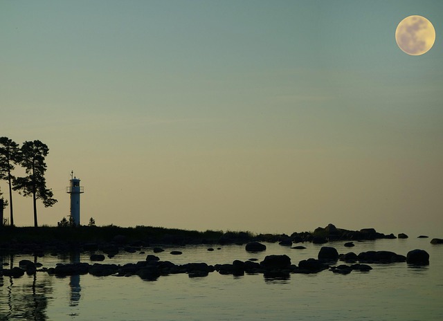 Free Estonia Laheema National Park photo and picture