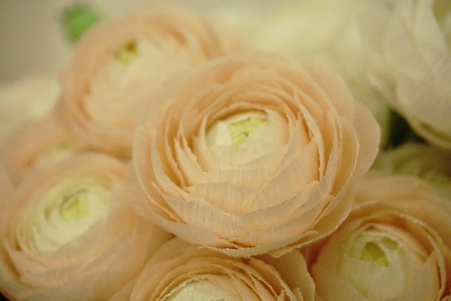 Free Paper Flowers Crepe Paper Flower photo and picture