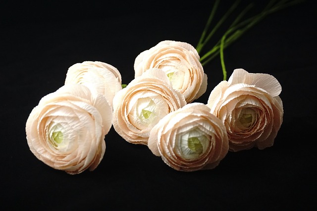 Free Paper Flowers Crepe Paper Flower photo and picture
