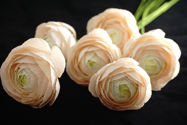 Free Paper Flowers Crepe Paper Flower photo and picture
