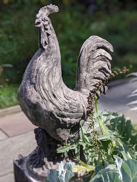 Free Rooster Sculpture photo and picture