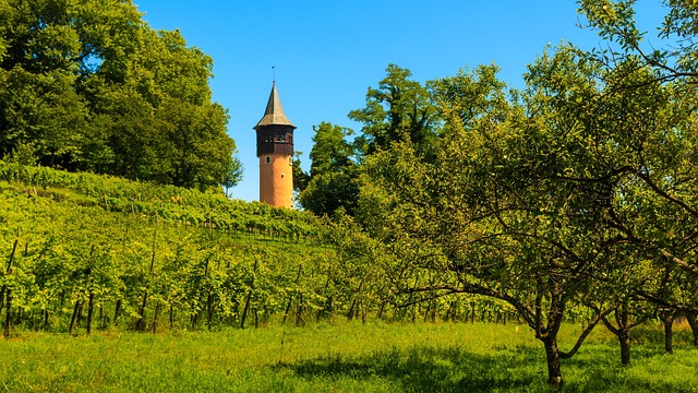 Free Swedish Tower Mainau Island photo and picture