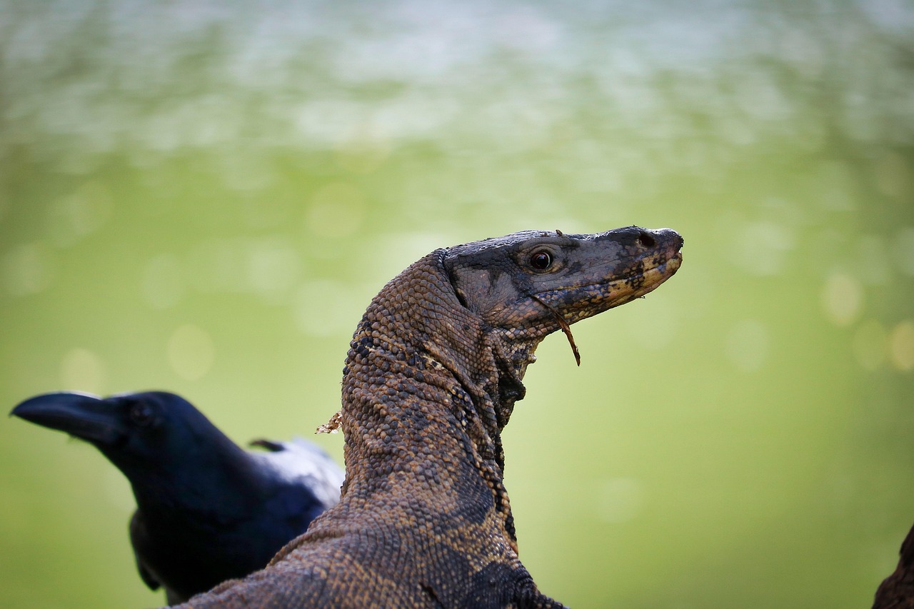 Bangkok - free online jigsaw puzzle photo
