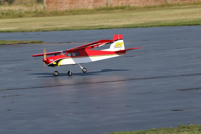 Model, Fly Landing, Fly, Propel
