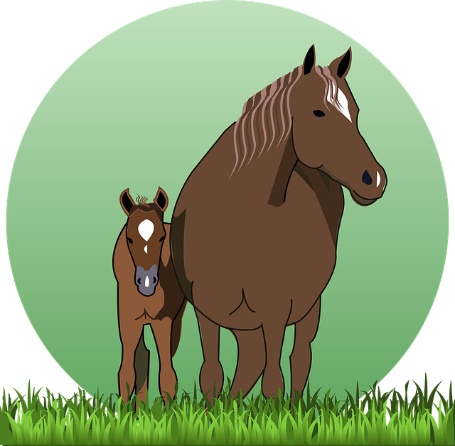 Hest, Cub, Hest Med Cub, Heste, Natur