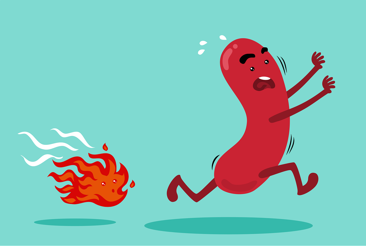 Download Sausage, Fire, Cartoon. RoyaltyFree Vector Graphic Pixabay
