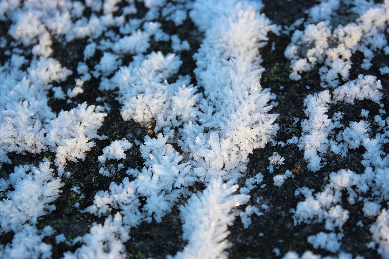 Permafrost Close Up Water - Free photo on Pixabay - Pixabay